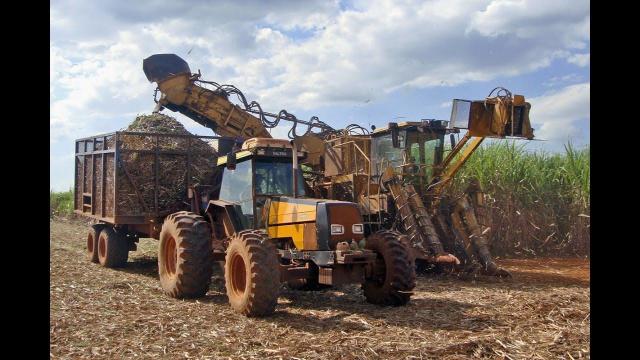 Embedded thumbnail for Economia reală pe termen lung: producția și creșterea economică